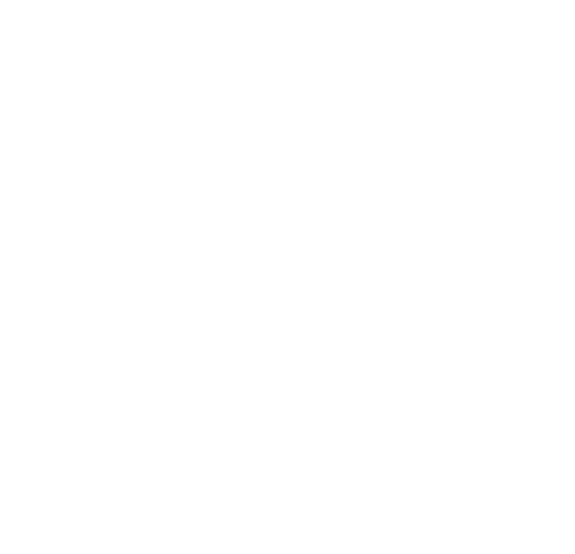 Arctic Adventures Lapland